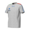 T-Shirt Unisex TEAM STRIPE ARENA Grigia