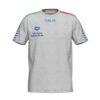 T-Shirt Unisex TEAM STRIPE ARENA Grigia