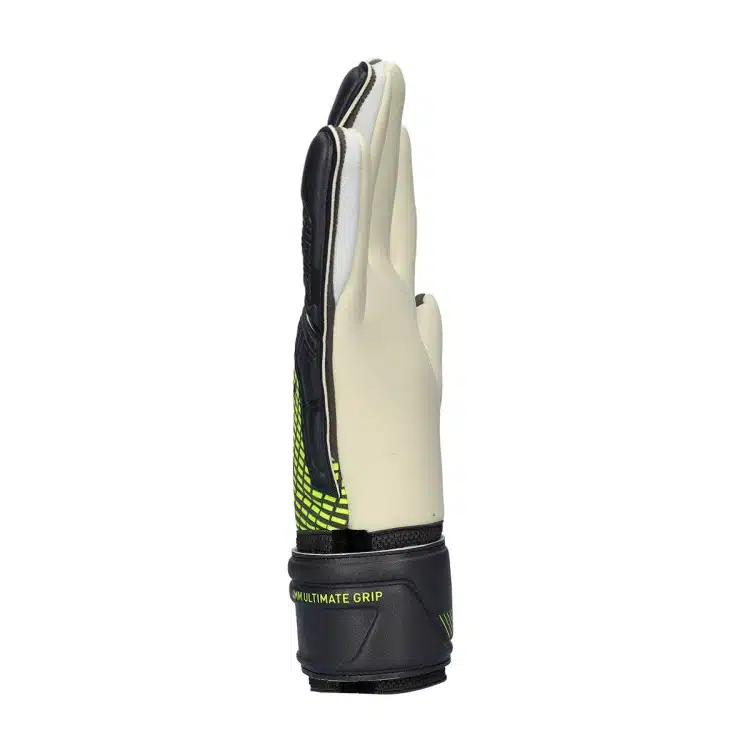 Guanto da Portiere ULTRA PRO NC PUMA Matte Aged Silver