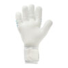 0f22c1da9ab143d6a9b2781e1d499efb GUANTO portiere CYBERTEC ABSOLUTGRIP HN UHLSPORT