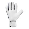 101133301_palm_pngu7JTG1FspOKrj_600x600 GUANTO portiere PREDICTION HN UHLSPORT