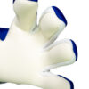 Guanto portiere REUSCH FASTGRIP ADVANCE Sharp Blue White