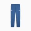 77439211 c Pantaloni MANCHESTER CITY FtblArchive PUMA