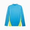 Felpa Allenamento MANCHESTER CITY 24/25 PUMA