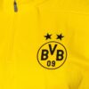 77761001 d Felpa allenamento Borussia Dortmund 24/25 PUMA