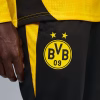 78167905 C Pantaloni Allenamento Borussia Dortmund 25/26 PUMA
