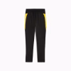 78167905 E Pantaloni Allenamento Borussia Dortmund 25/26 PUMA
