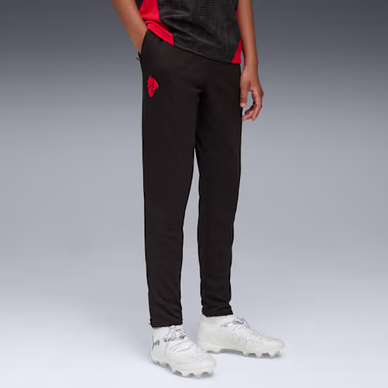 78237504 D Pantaloni allenamento MILAN 25/26 PUMA Junior