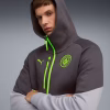 Felpa MANCHESTER CITY PUMATECH 25/26 Galactic Grey