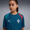 78476815 Maglia-da-allenamento-Portogallo-per-ragazzi D