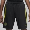 DR4666 Short PARIS SAINT-GERMAIN Strike NIKE