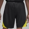 DR4666 B Short PARIS SAINT-GERMAIN Strike NIKE