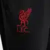 HJ3652-010 E Pantaloni LIVERPOOL FC Strike NIKE Special Edition Junior