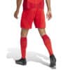 Short FC BAYERN MÜNCHEN Home 24/25