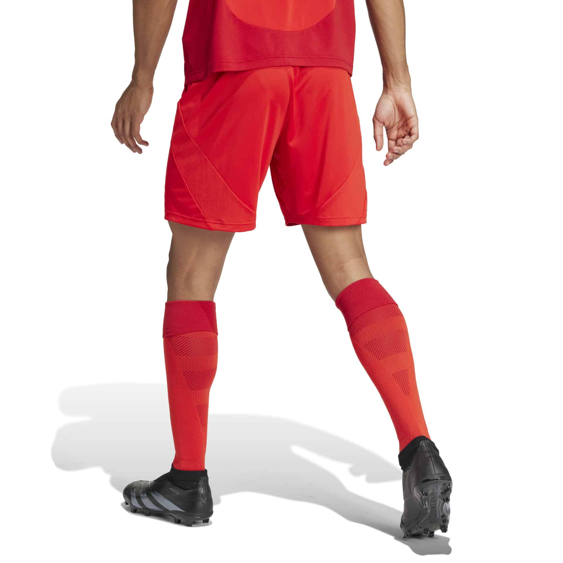 Short FC BAYERN MÜNCHEN Home 24/25