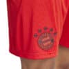 Short FC BAYERN MÜNCHEN Home 24/25