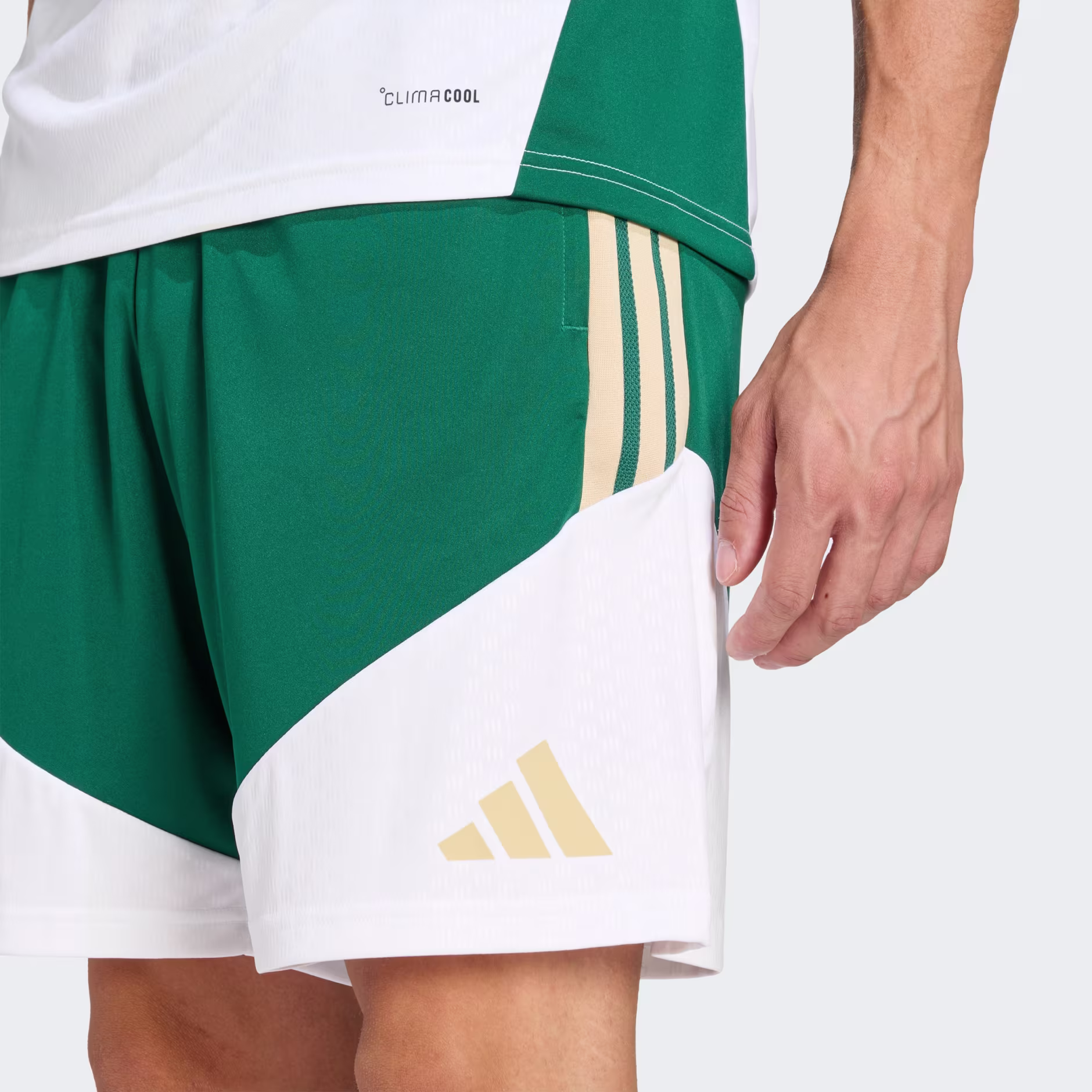 JZ9376_41_detail ADIDAS Shorts Allenamento 26 ITALIA
