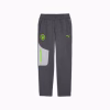 Pantaloni MANCHESTER CITY PUMATECH 25/26 Galactic Grey