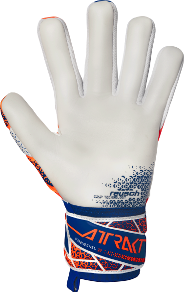 Reusch Attrakt Freegel Gold NC 5570135 2500 2500 back Guanto portiere REUSCH ATTRAKT FREEGEL GOLD NC Orange Blue