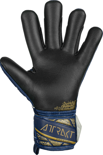 Reusch Attrakt Freegel Silver 5470235 4411 4411 back Guanto portiere REUSCH ATTRAKT FREEGEL SILVER Blue Gold