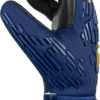 Reusch Attrakt Freegel Silver 5470235 4411 4411 s Guanto portiere REUSCH ATTRAKT FREEGEL SILVER Blue Gold