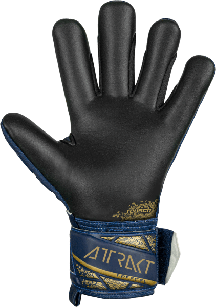 Reusch Attrakt Freegel Silver Junior 5472235 4411 4411 back Guanto portiere ATTRAKT FREEGEL SILVER Junior Blue Gold