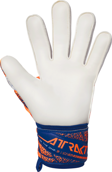 Reusch Attrakt Silver 5570214 2500 2500 back Guanto portiere REUSCH ATTRAKT SILVER Orange Blue