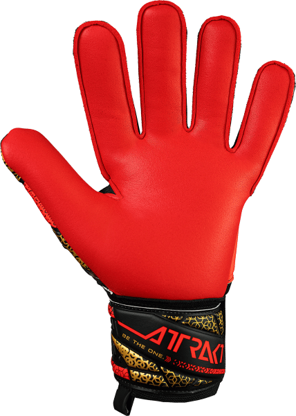 Reusch Attrakt Silver 5570215 7075 7075 back Guanto portiere REUSCH ATTRAKT SILVER