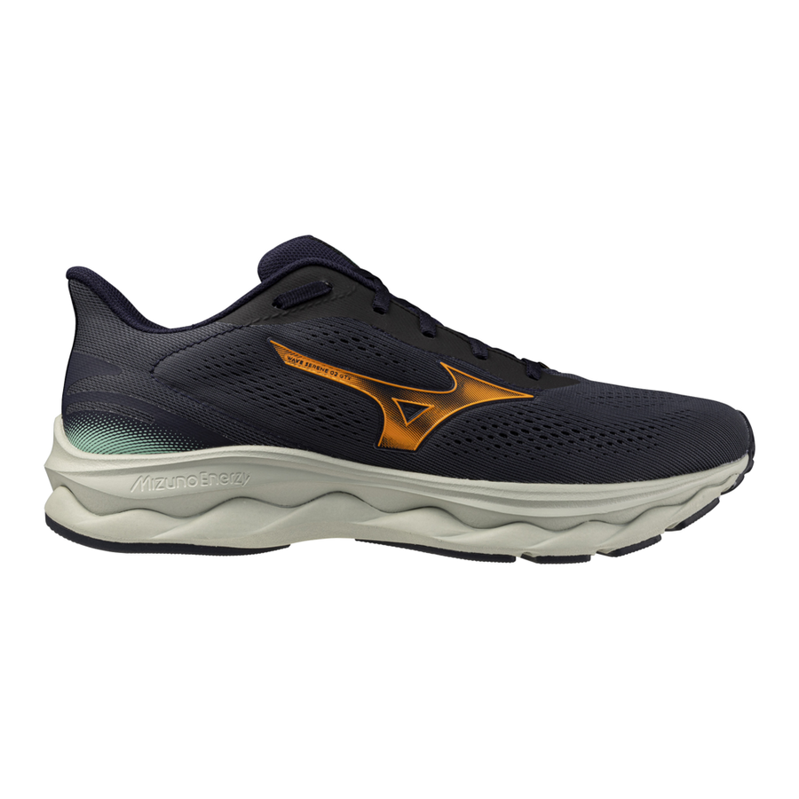 SH_J1GC256002_11.png-1000x1000-s_i-c_t_White-f_png Scarpa running WAVE SERENE 2 GTX MIZUNO Indiaink