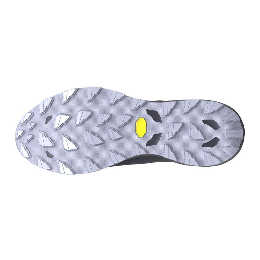 Scarpa running WAVE DAICHI 9 GTX MIZUNO