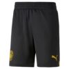puma__pum-765752-02__imagefront Pantaloncini replica Manchester City FC 22/23