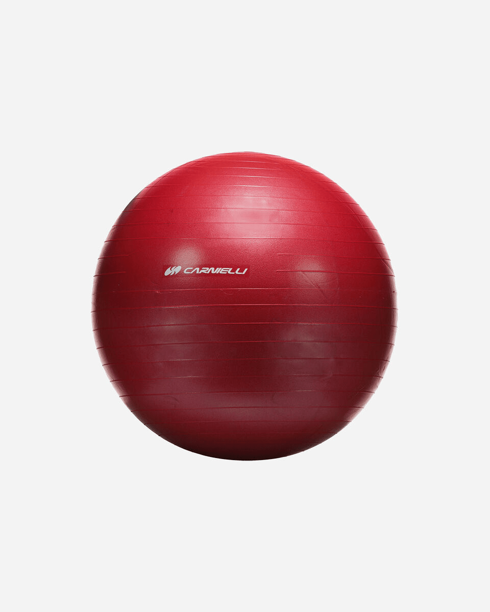 GYMBALL 55