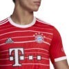 Maglia Home 22/23 FC BAYERN MÜNCHEN DETTAGLIO LOGO