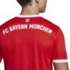 Maglia Home 22/23 FC BAYERN MÜNCHEN DETTAGLIO SCHIENA