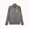 PUMA Felpa cappuccio Borussia Dortmund KING Anthem Grigia