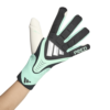 Guanti Portiere PREDATOR GL PRO Adidas Black Pulse Mint